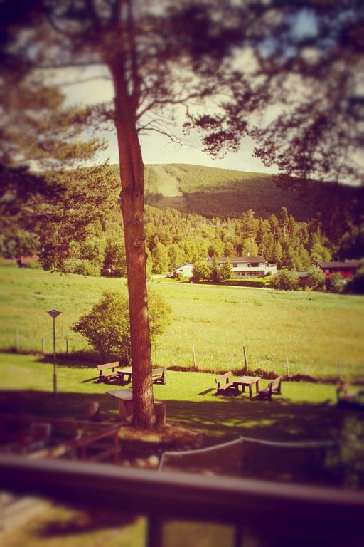 Dovrefjell Hotel Домбас Экстерьер фото